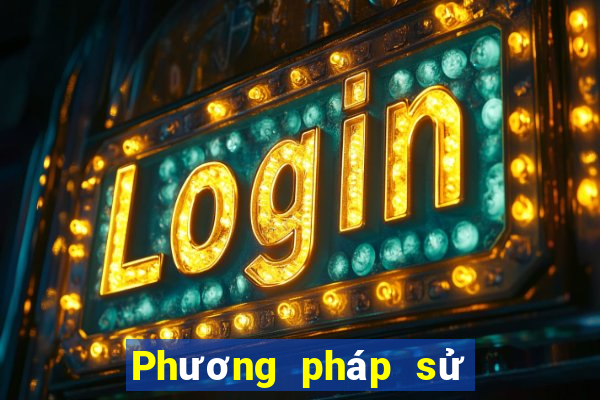 Phương pháp sử dụng Betou Bao