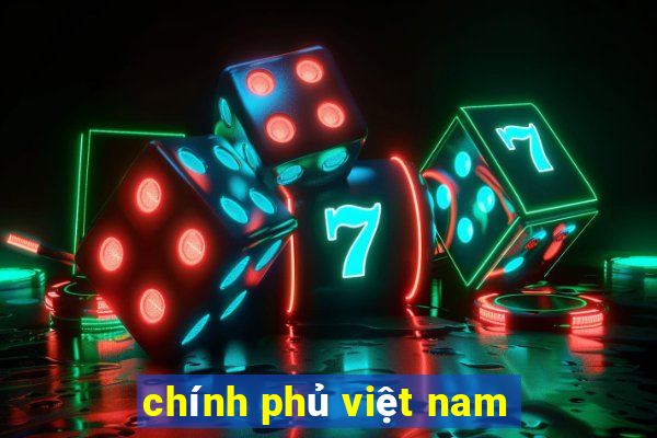 chính phủ việt nam