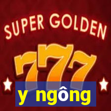 y ngông