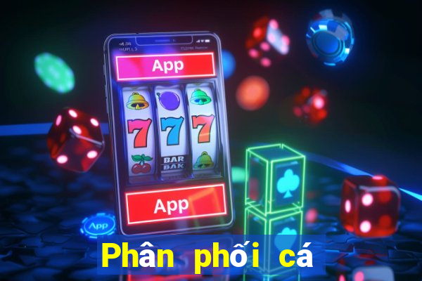 Phân phối cá có thể lên xuống