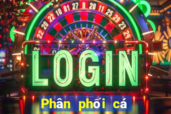 Phân phối cá có thể lên xuống