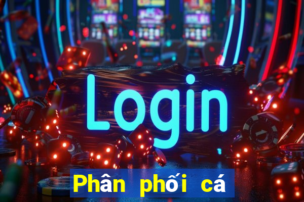 Phân phối cá có thể lên xuống