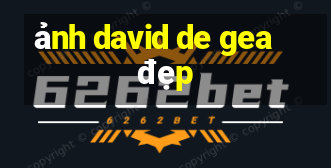 ảnh david de gea đẹp