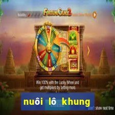 nuôi lô khung bạch thủ 3 ngày