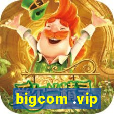 bigcom .vip