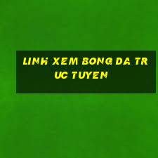 linh xem bong da truc tuyen