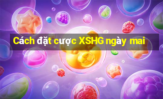 Cách đặt cược XSHG ngày mai