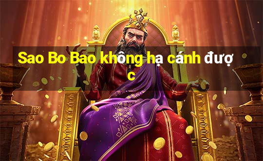 Sao Bo Bao không hạ cánh được