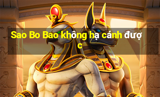 Sao Bo Bao không hạ cánh được