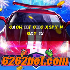 Cách đặt cược XSPY ngày 12