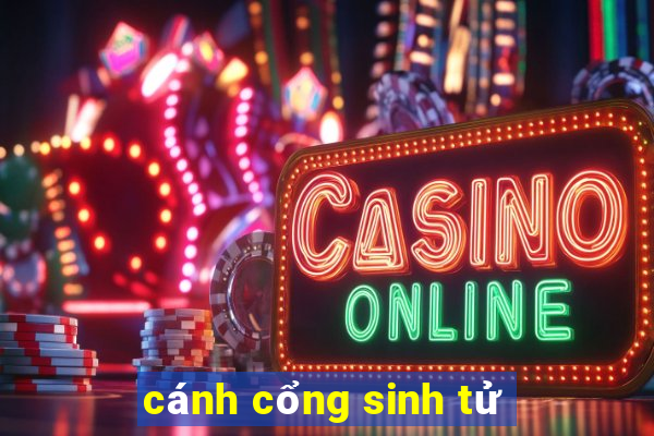 cánh cổng sinh tử