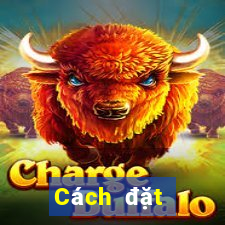 Cách đặt cược XSMN ngày 1