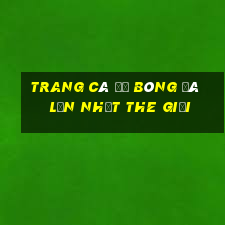 trang cá độ bóng đá lớn nhất the giới