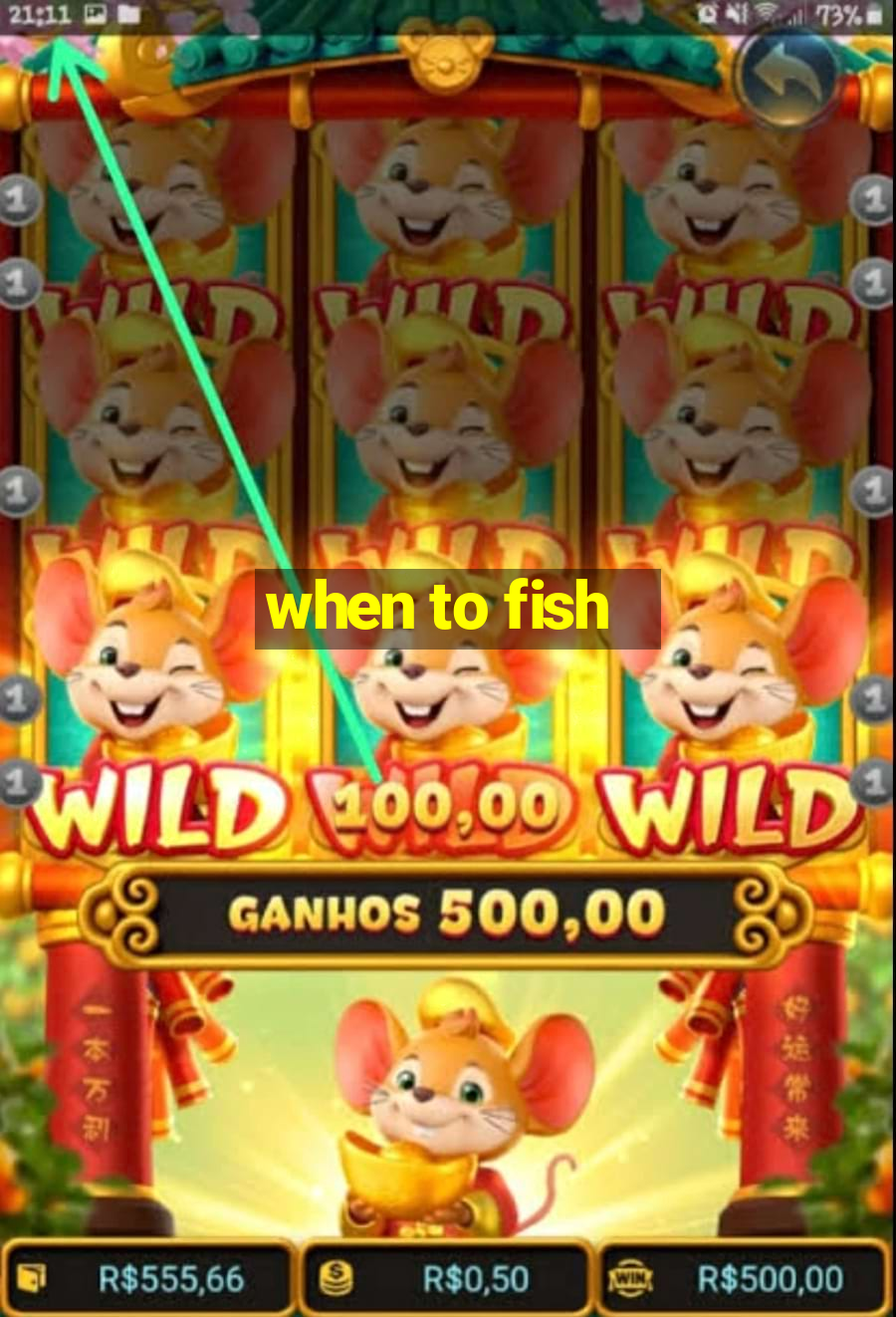 when to fish