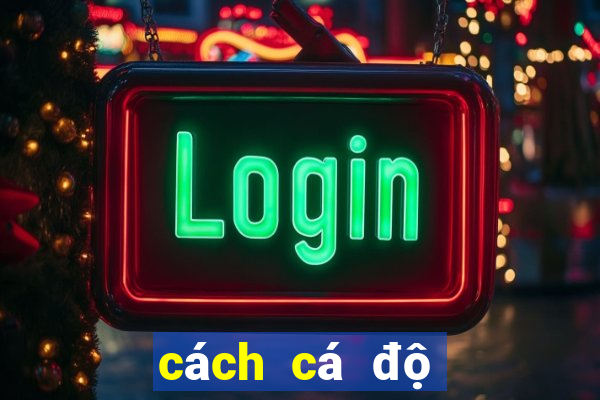 cách cá độ bóng đá