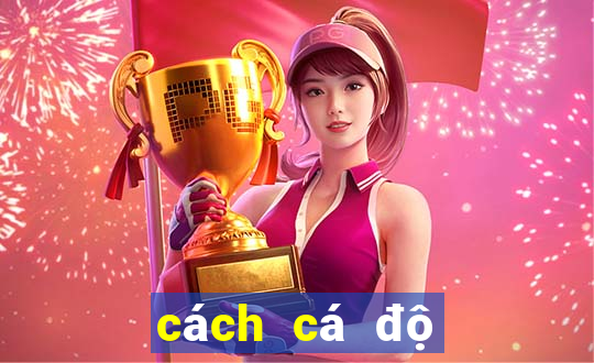 cách cá độ bóng đá