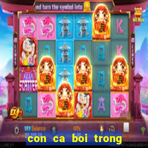 con ca boi trong be nuoc