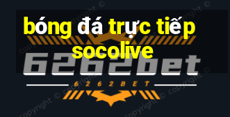 bóng đá trực tiếp socolive