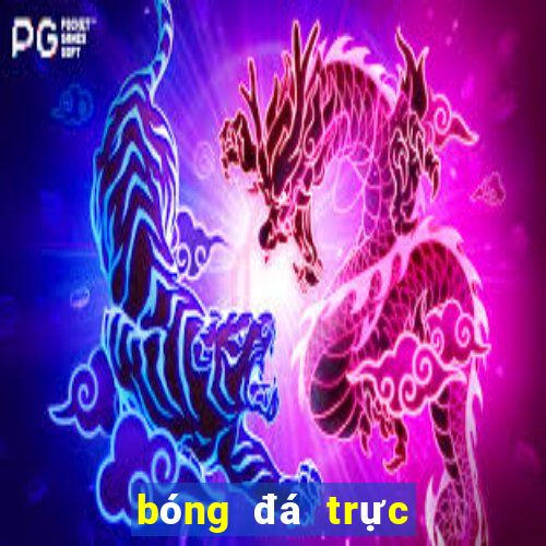 bóng đá trực tiếp socolive