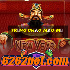 trứng chào mào mũ