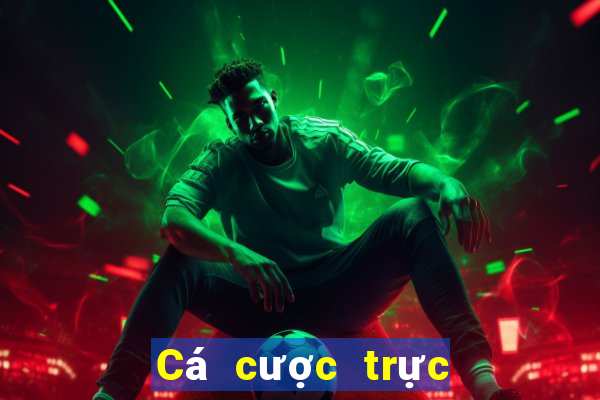 Cá cược trực tuyến 79sodo