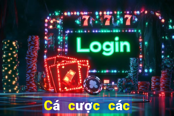 Cá cược các trận bóng đá