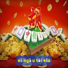 xí ngầu tài xỉu