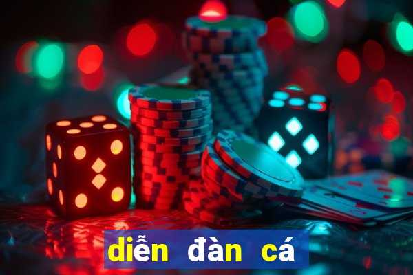 diễn đàn cá độ bóng đá