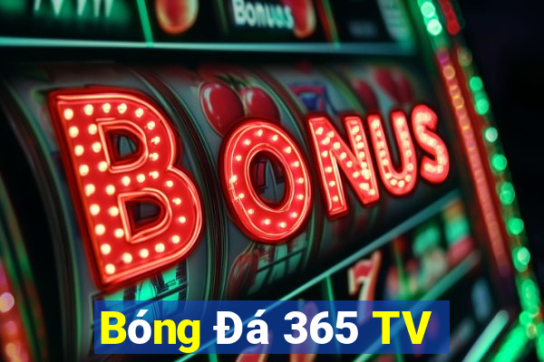 Bóng Đá 365 TV