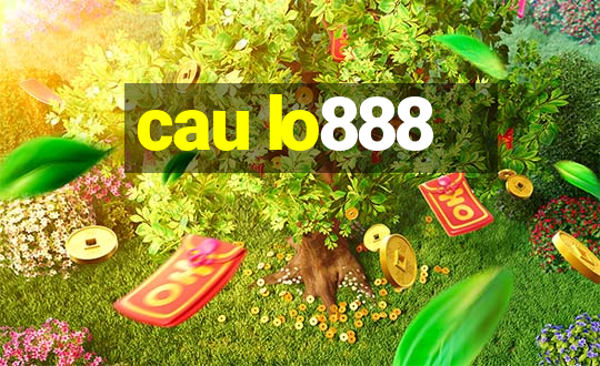 cau lo888