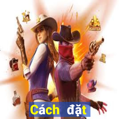 Cách đặt cược XSTN ngày 11