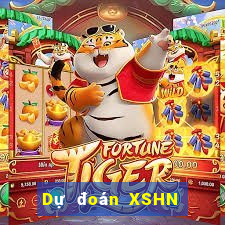 Dự đoán XSHN ngày 19