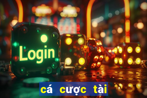 cá cược tài xỉu euro