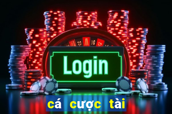 cá cược tài xỉu euro