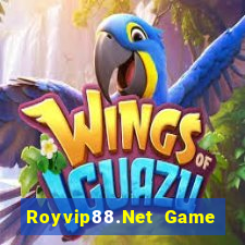 Royvip88.Net Game Bài Online Uy Tín