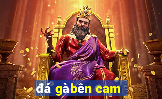 đá gà bên cam