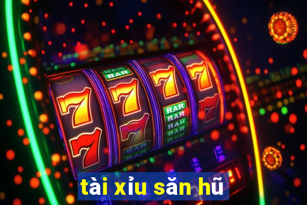 tài xỉu săn hũ