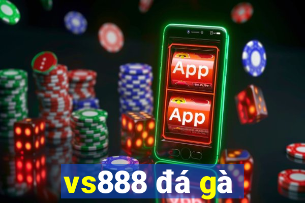 vs888 đá gà