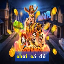 chơi cá độ bóng đá