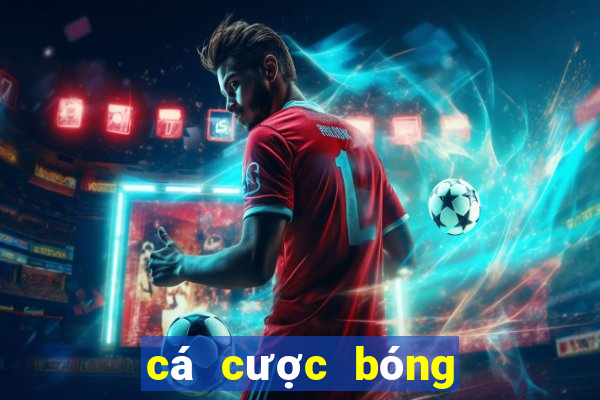 cá cược bóng đá world cup