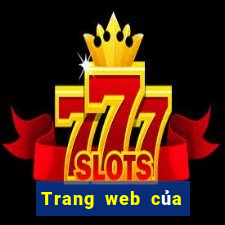 Trang web của Color God viii