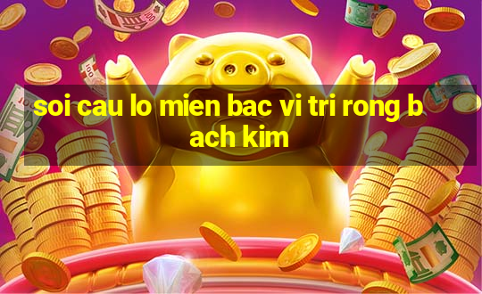 soi cau lo mien bac vi tri rong bach kim