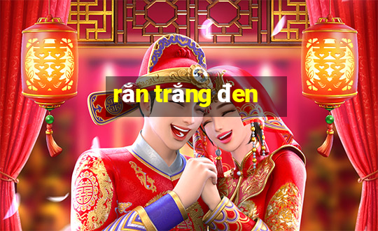 rắn trắng đen