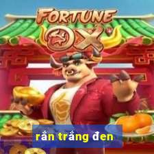 rắn trắng đen