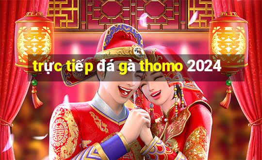 trực tiếp đá gà thomo 2024