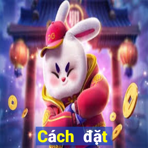 Cách đặt cược XSQN ngày 27