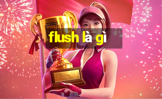 flush là gì