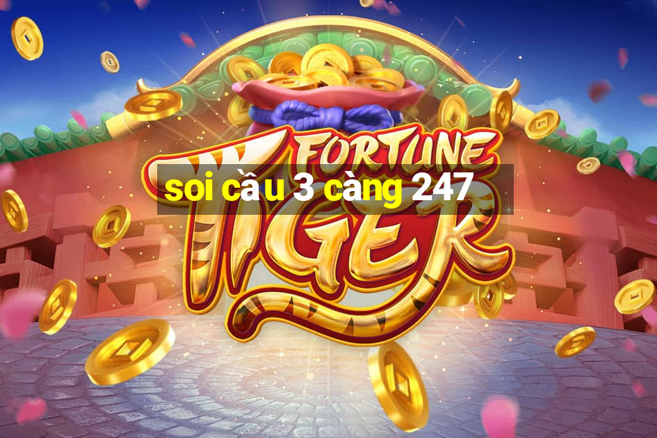 soi cầu 3 càng 247