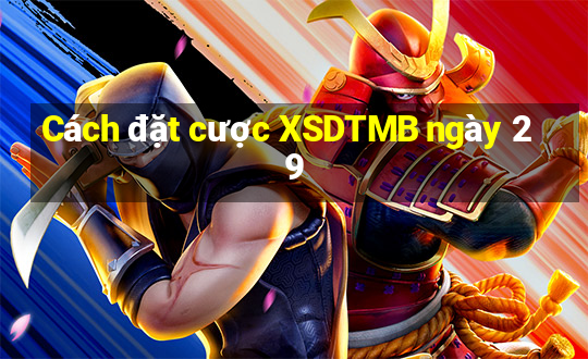 Cách đặt cược XSDTMB ngày 29