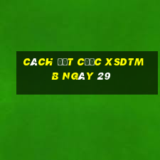 Cách đặt cược XSDTMB ngày 29